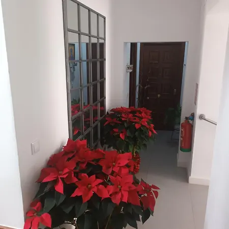 Apartamento Casa San Mateo