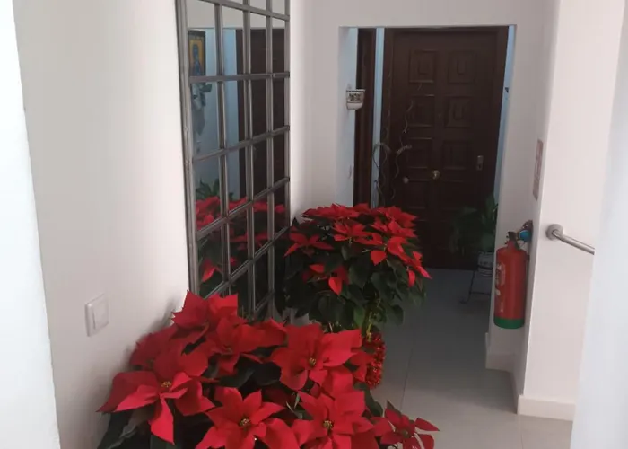 Aparthotel Casa San Mateo